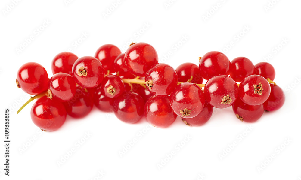Red Currant isolated over white background Red Currant isolated over white background