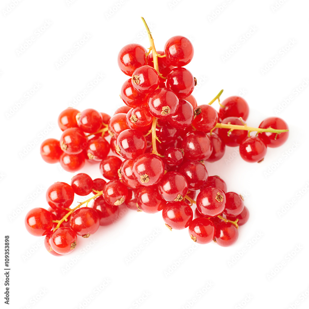 Red Currant isolated over white background Red Currant isolated over white background