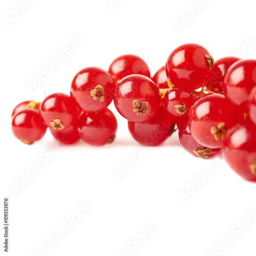 Red Currant isolated over white background