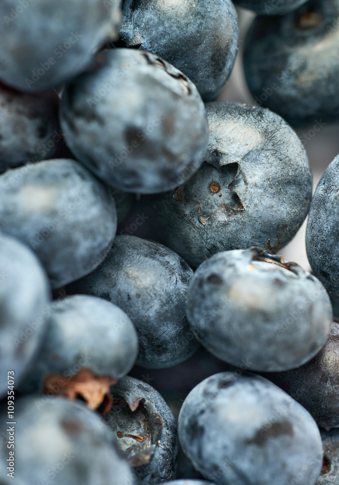 Bilberry or blueberry as texture background Bilberry or blueberry as texture background