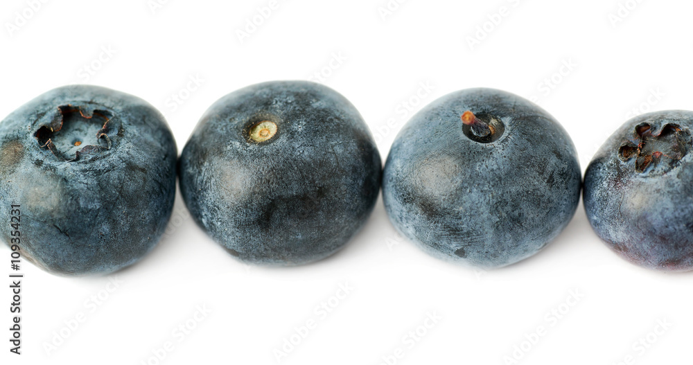 Line made of Bilberry or blueberry over isolated white background Line made of Bilberry or blueberry over isolated white background