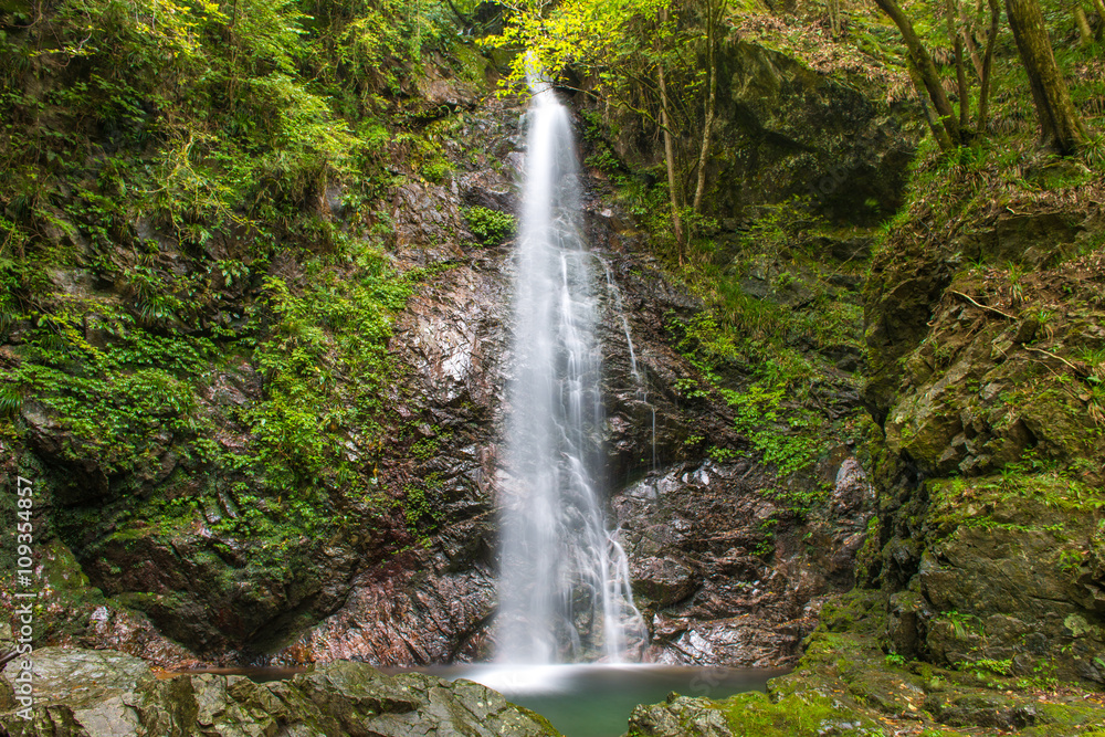 払沢の滝 払沢の滝