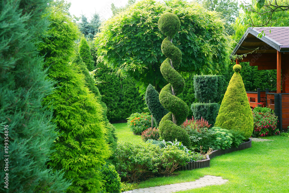 Fototapeta premium Strzępione rośliny ozdobne w ogrodzie