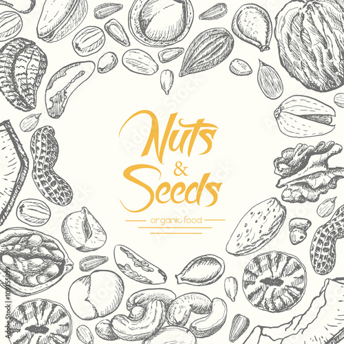 Vector background with nuts and seeds