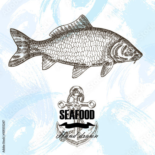 Vintage seafood sketch background. Hand drawn carp fish vector