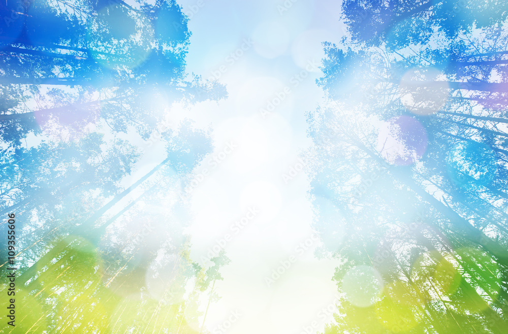 Abstract photo of light burst among trees and glitter bokeh lights. Retro style. Abstract photo of light burst among trees and glitter bokeh lights. Retro style.