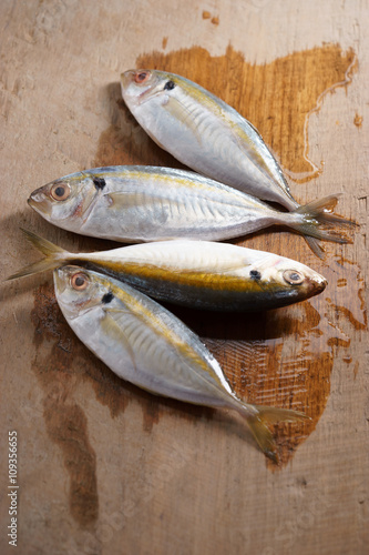 yellowstripe scad fish.