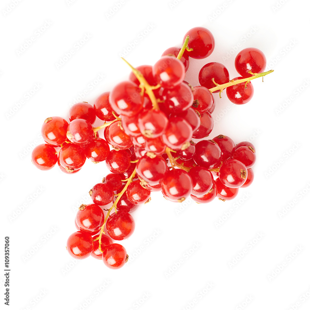 Red Currant isolated over white background Red Currant isolated over white background