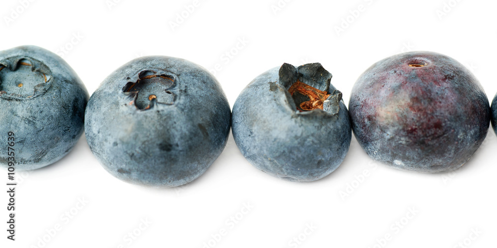 Line made of Bilberry or blueberry over isolated white background Line made of Bilberry or blueberry over isolated white background