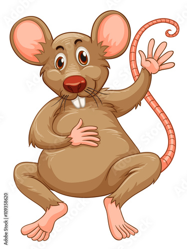 Rat with brown fur