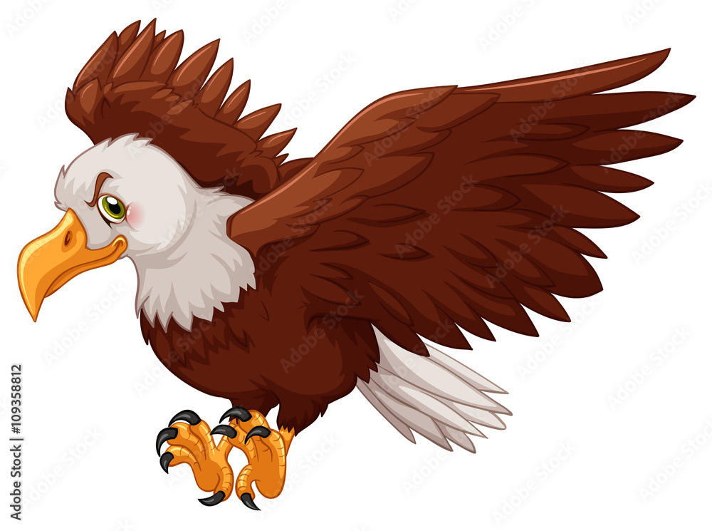 Fototapeta premium Eagle spreading its wings