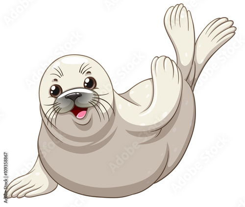 Seal with white skin greeting