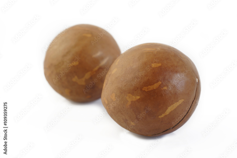macadamia nuts isolated on white background macadamia nuts isolated on white background