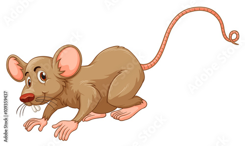Little mouse with silly face