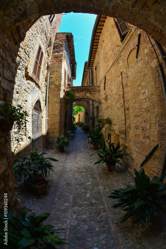 Fototapeta Naklejka Na Ścianę i Meble -  Spello (Umbria, Italy) - A awesome medieval little town in Umbria