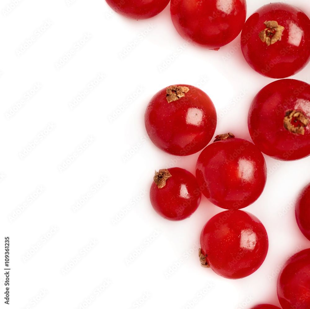 Red Currant isolated over white background Red Currant isolated over white background