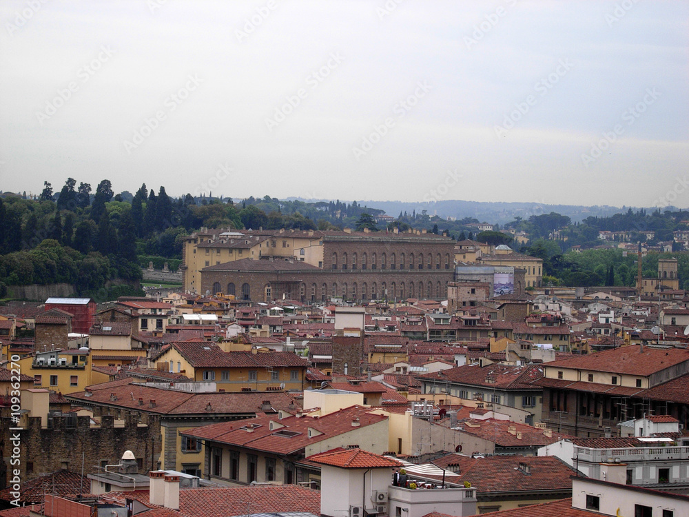 Panorama Firenze dall'alto