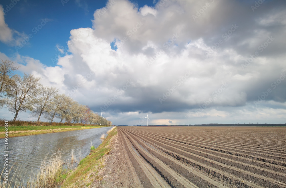 Fototapeta premium plowed potatto field and windmill turbines