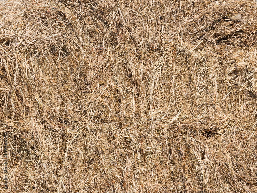 fragrant yellow hay fragrant yellow hay