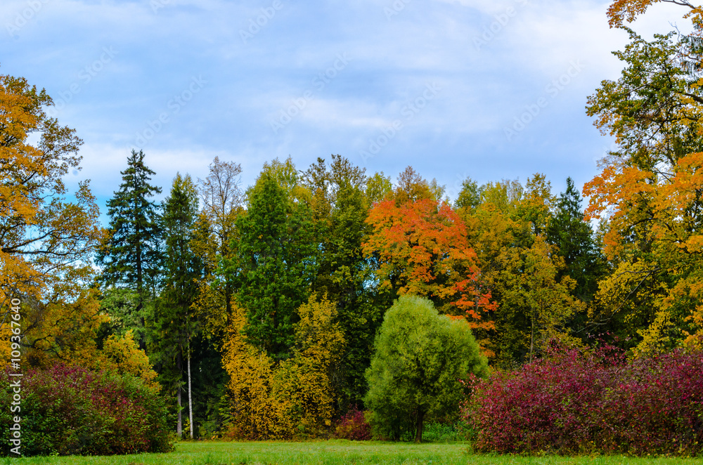 Naklejka premium Meadow and autumn forest, painted in beautiful colors against the blue sky and clouds