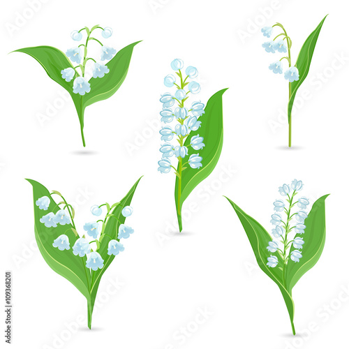 Spring collection of tiny bouquets of Lily Of The Valley for you