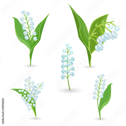 Fototapeta Naklejka Na Ścianę i Meble -  cute collection of Lilies Of The Valley for your design