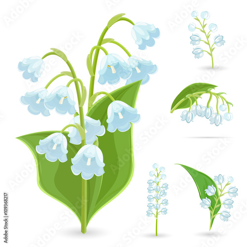 Fototapeta Naklejka Na Ścianę i Meble -  floral collection of small spring flowers. Lilies Of The Valley