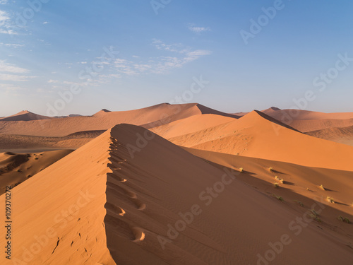 Sand Dune 45 in Sossusvlei, Namibia