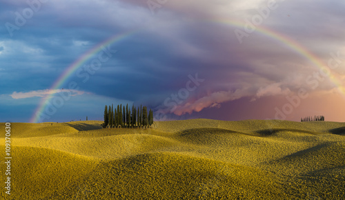 krajobraz Toskanii,tęcza nad polem cyprysów © Mike Mareen