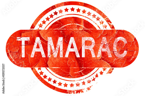 tamarac, vintage old stamp with rough lines and edges photo