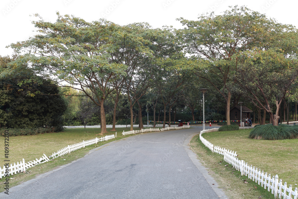 Obraz premium Park woods curve road