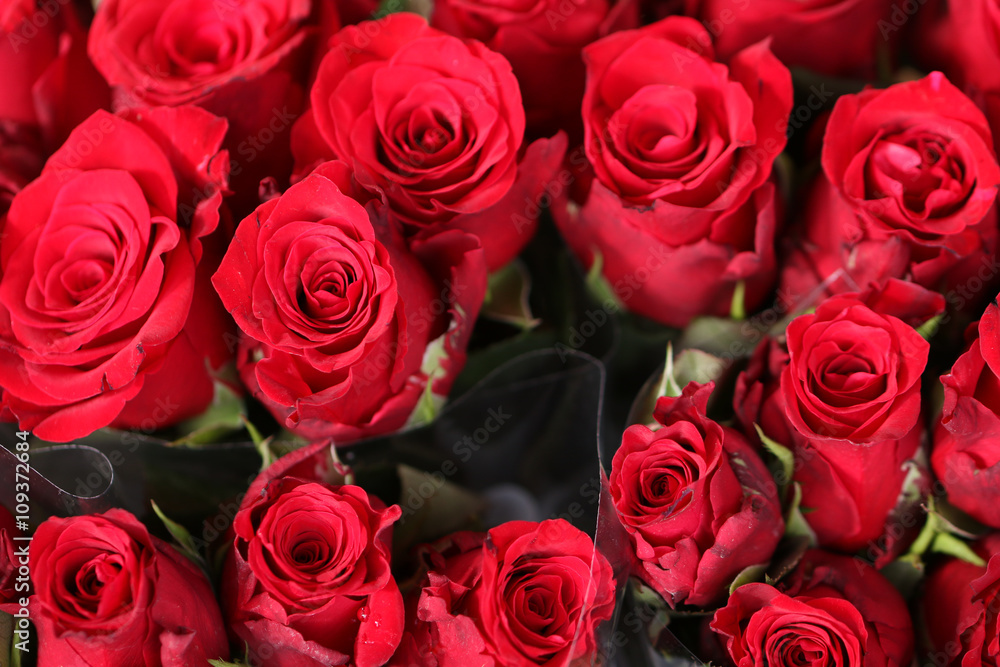 Rote Rosen Rote Rosen