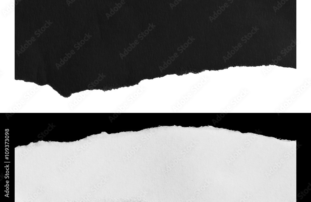 Torn pieces of paper Torn pieces of paper
