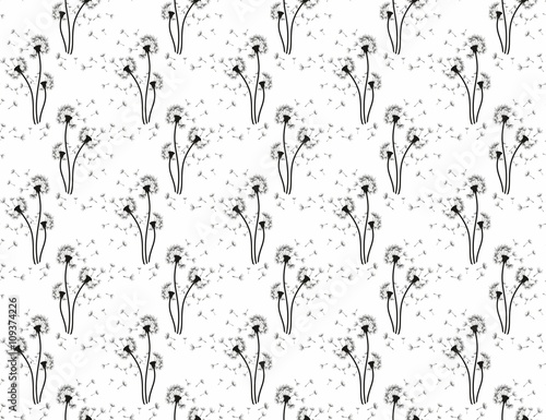 Background with field dandelion.