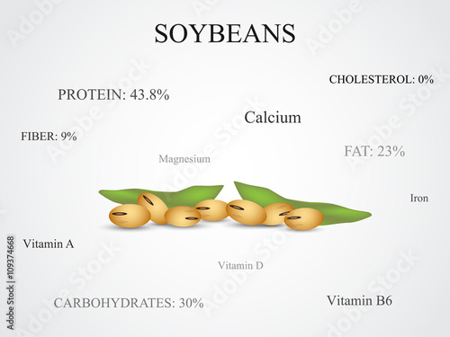 Soybeans isolated vector with nutrition values