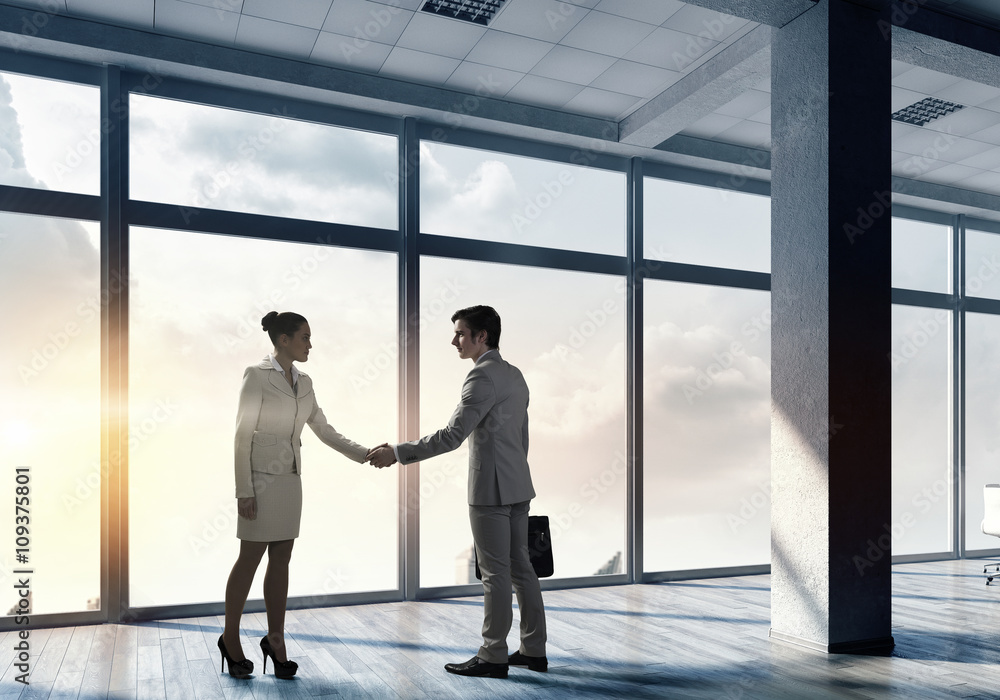 Fototapeta premium Business partners handshake