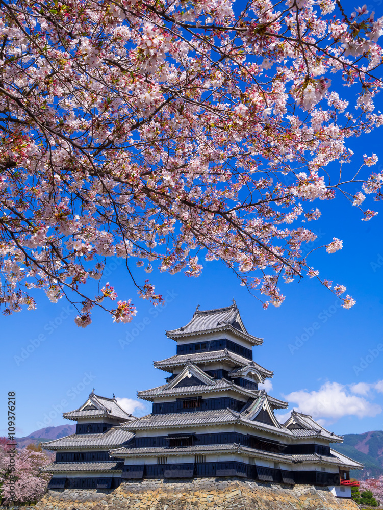 Matsumoto castle in spring season, Nagano, Japan Matsumoto castle in spring season, Nagano, Japan