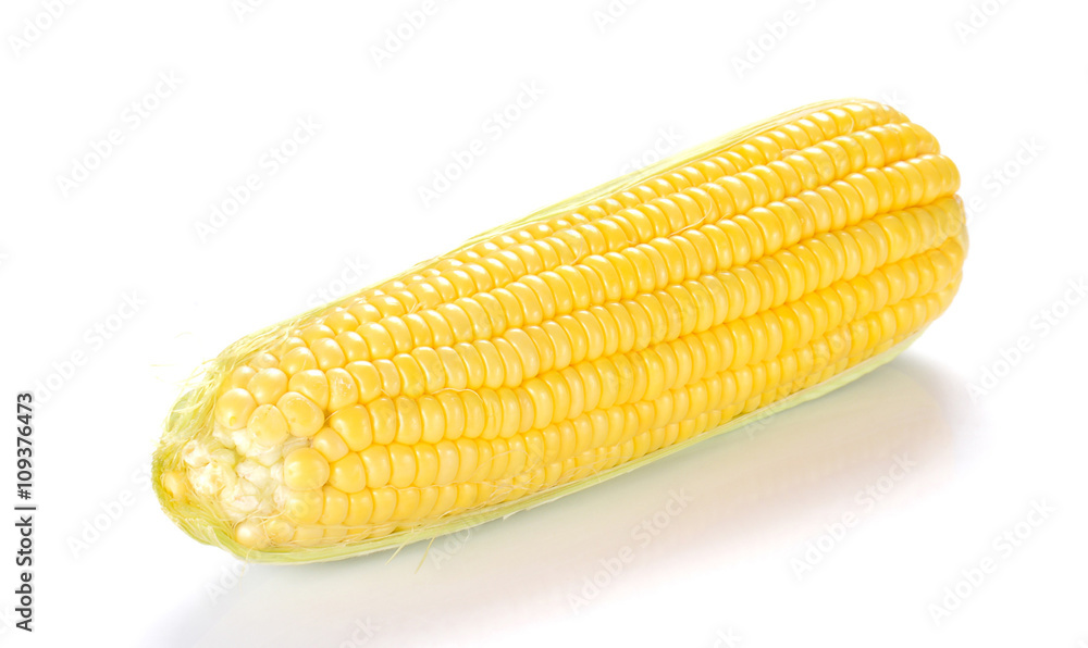 Corn on white background. Corn on white background.