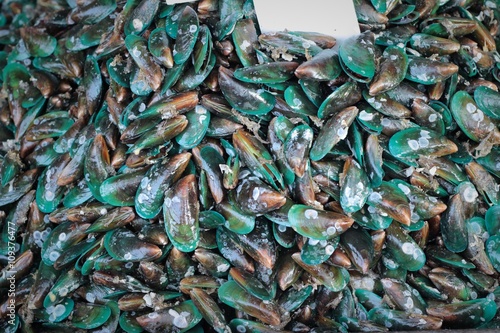 Fresh mussels for cooking in the market.