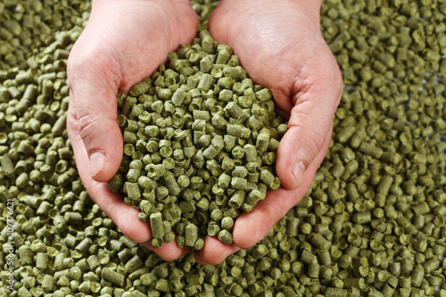 Closeup view of granule hop hopes. Ingredient for Industrial production of beer. Background texture. Ideal for commercial. Backdrop image. 