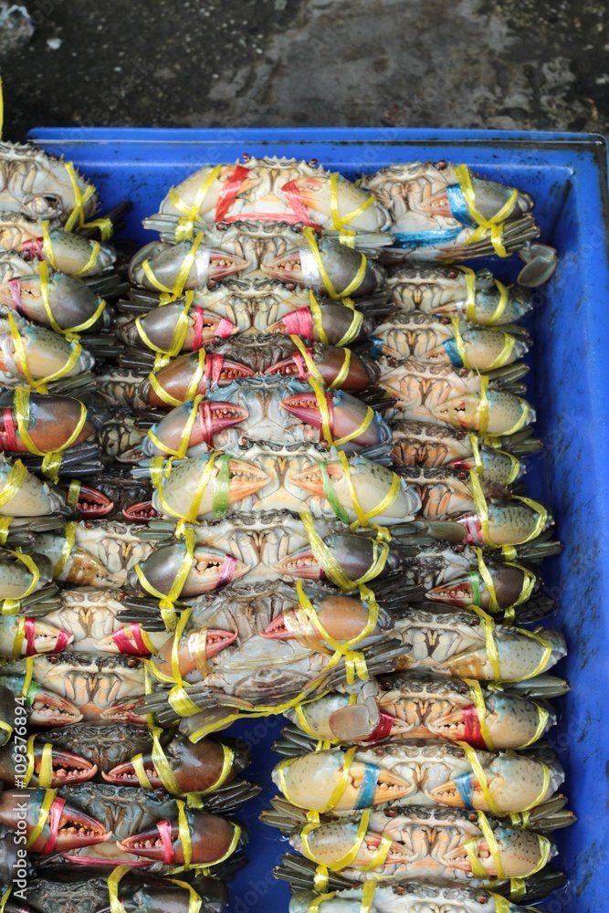 Fresh sea crab for cooking in market.