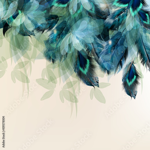 Background with blue realistic feathers photo