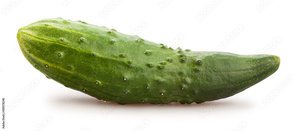 cucumber cucumber