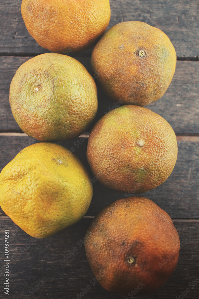 Fototapeta premium Rotten orange fruit