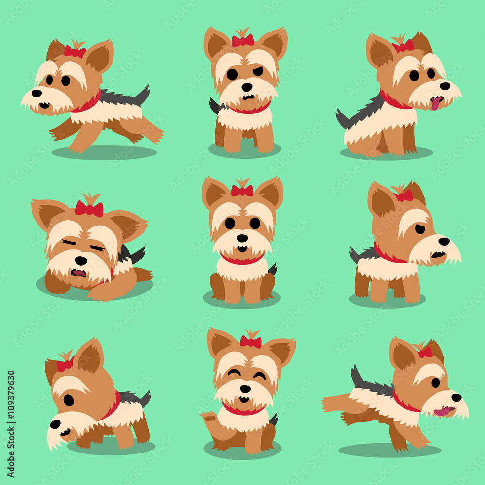 Cartoon character yorkshire terrier dog poses set Cartoon character yorkshire terrier dog poses set