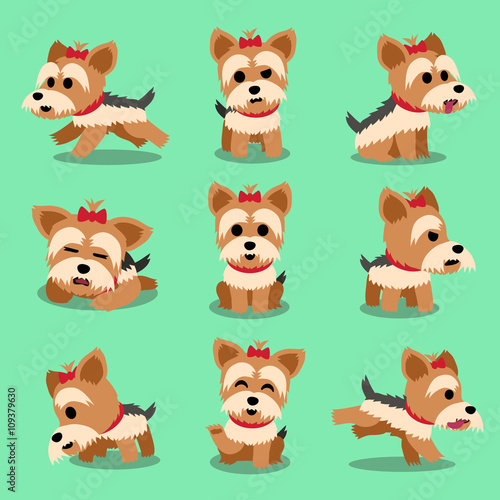 Cartoon character yorkshire terrier dog poses set