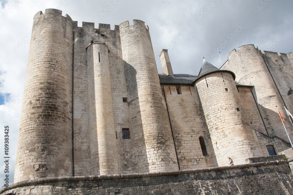 Niort, le donjon, Deux Sèvres, Poitou Charentes Niort, le donjon, Deux Sèvres, Poitou Charentes