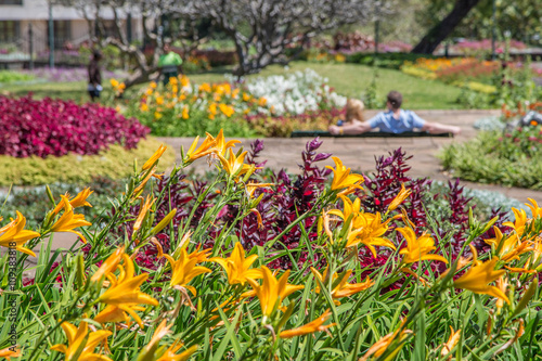 verliebtes Paar in wundersch  nem  bl  hendem Park