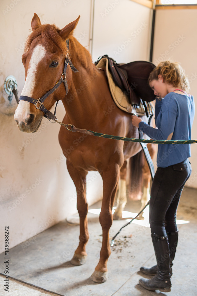 girl and horse