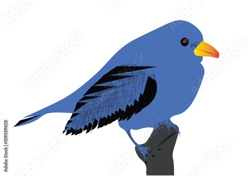 Blue bird on a branch
